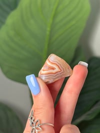 Image 3 of TUMBLED AGATE #32 -MALAWI-