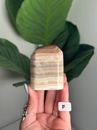 Image 6 of CHOOSE YOUR OWN BANDED CALCITE FREEFORM -UTAH- 