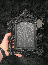 Image 1 of LARGE Gothic black ornate framed preserved web