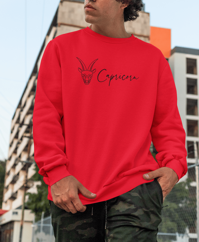 Unisex Zodiac Cosy Birthday Sweatshirt- Capricorn