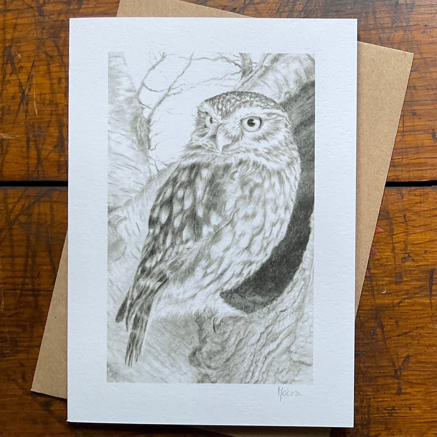 Image of LITTLE OWL IN HOLLOW TREE ~ GREETINGS CARD