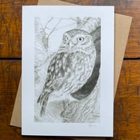 LITTLE OWL IN HOLLOW TREE ~ GREETINGS CARD