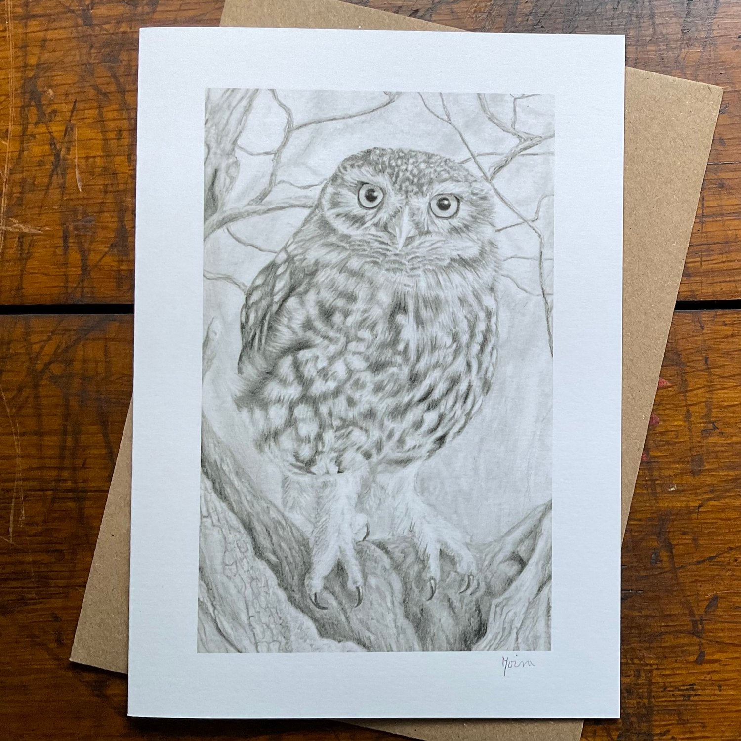 Image of LITTLE OWL ON HAWTHORN ~ GREETINGS CARD