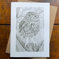 LITTLE OWL ON HAWTHORN ~ GREETINGS CARD