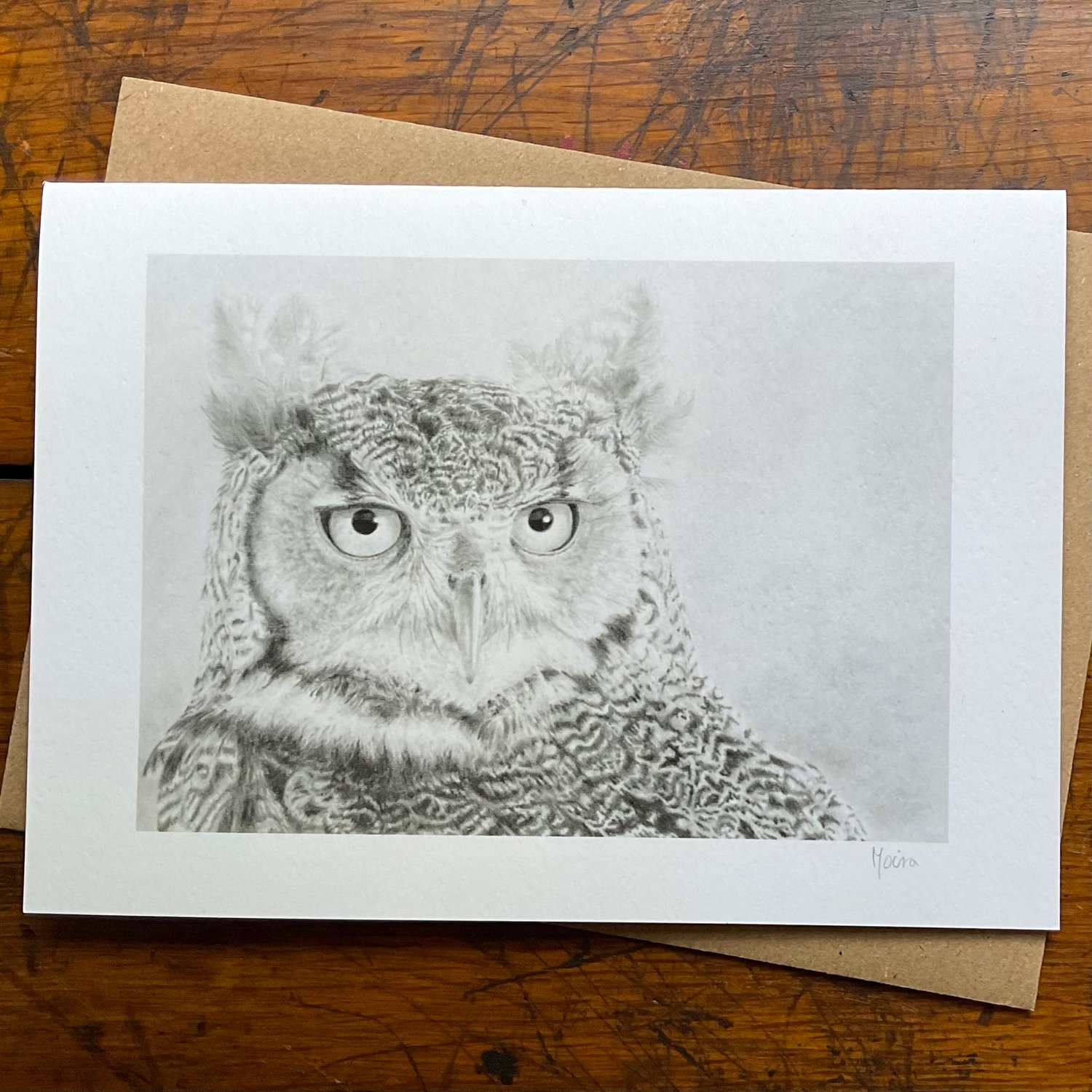 Image of EARED OWL ~ GREETINGS CARD