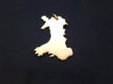 The World maps pendants 