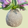 Organic Vase No. 3