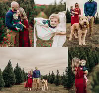 Image 3 of 11/9 Christmas Tree Farm Mini Sessions