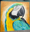 Parrot Original Painting