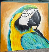 Image 1 of Parrot Original Painting