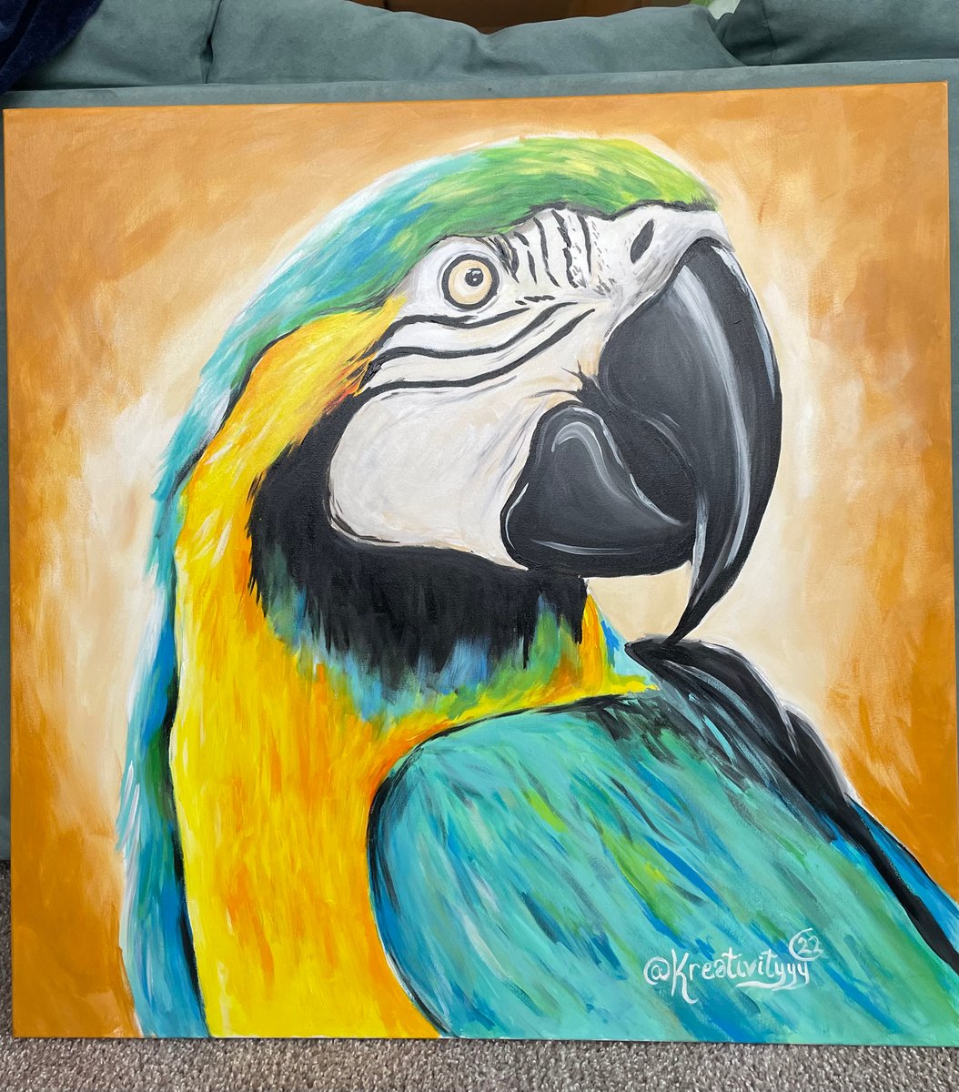 Montanari Papagallo 油彩画 50x70 cm bekantas-pintura-animal-