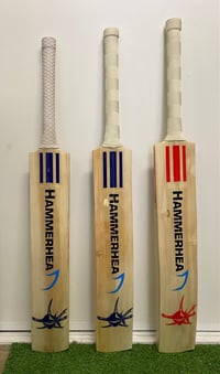 Image 2 of JUNIOR BAT RANGE