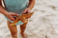 Image 5 of Beach Sessions