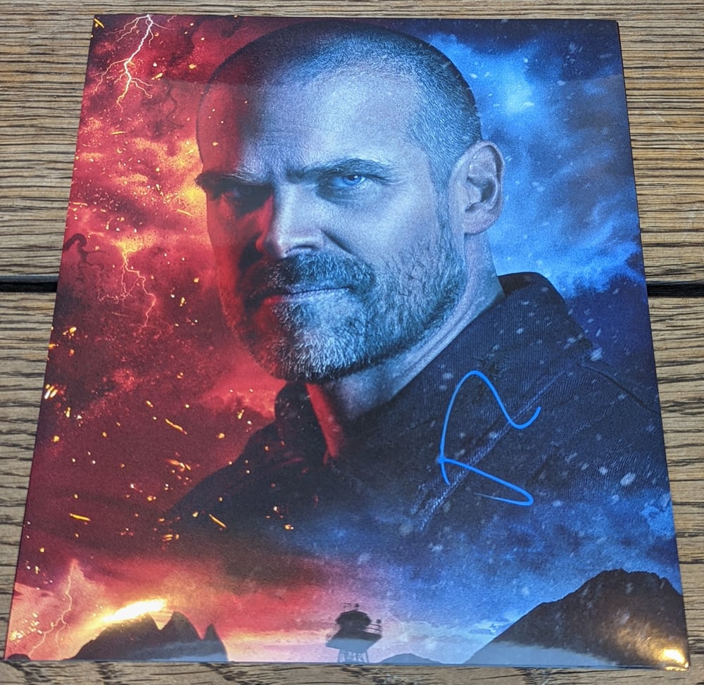 David Harbour Signed Stranger Things 10x8 Photo