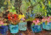 Garden Pots