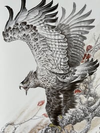 Image 3 of Hawk/Eagle  Tattoo Reference Book