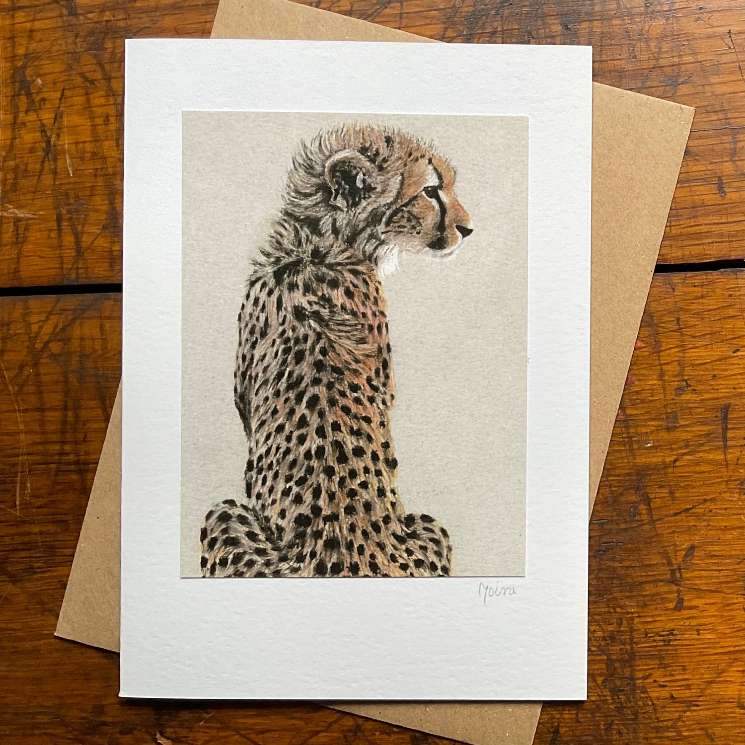 Image of CHEETAH ~ GREETINGS CARD
