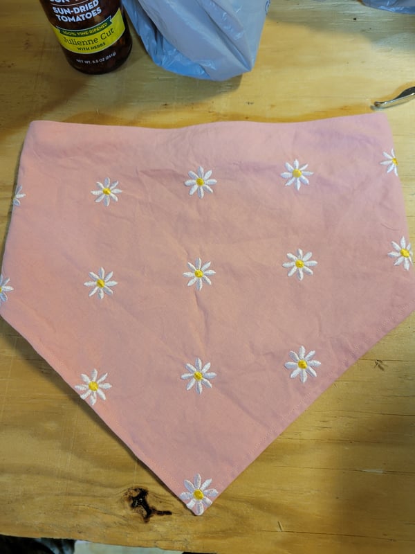 Image of Poppin up Daisys PINK