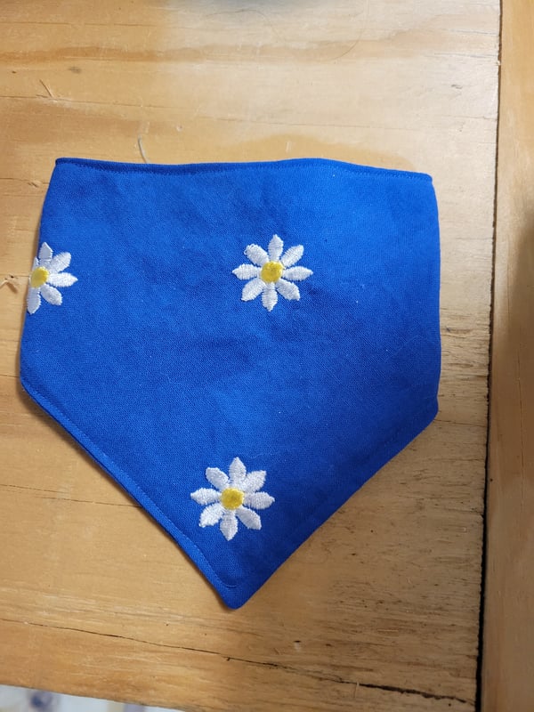 Image of Poppin up Daisys BLUE