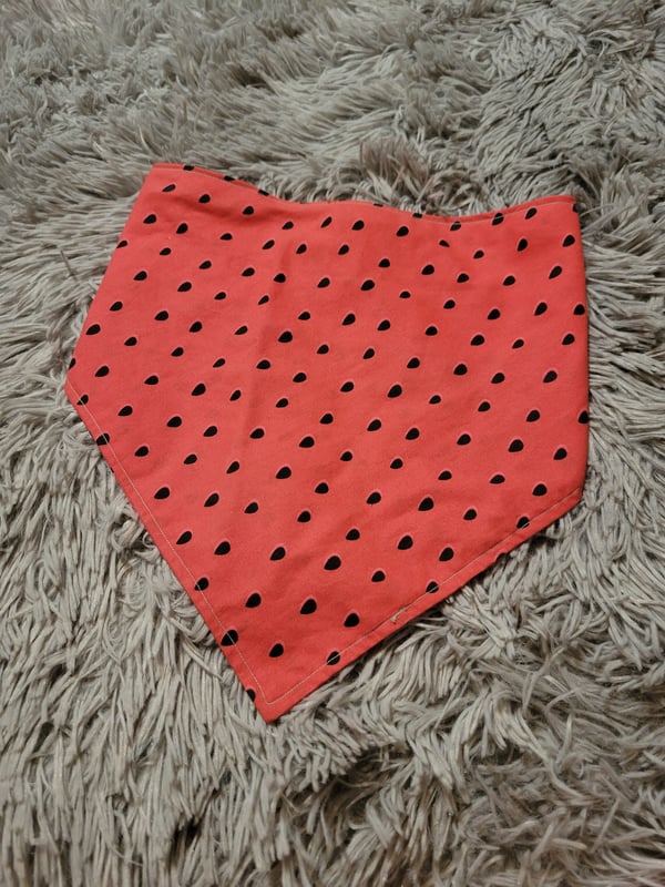 Image of Watermelon Oasis
