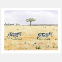 Image 1 of Zebra 