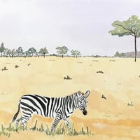 Image 2 of Zebra 