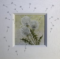 Image 1 of Dandelion 2439 - Open Edition Print - Miniature.