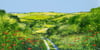 Heather Howe "The Poppy Path"