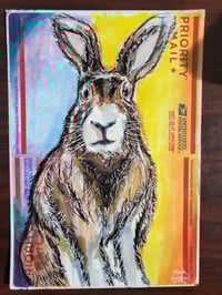 Ten Chan the Jackrabbit 