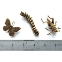 Locust - Brass Insect Ornament 