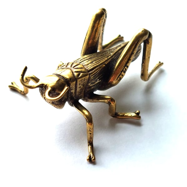Image of Locust - Brass Insect Ornament 