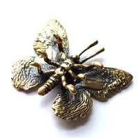 Image 2 of Butterfly - Miniature Brass Insect Ornament