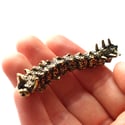 Horned Caterpillar - Brass Insect Ornament