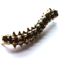 Horned Caterpillar - Brass Insect Ornament