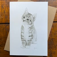 TABBY KITTEN ~ GREETINGS CARD