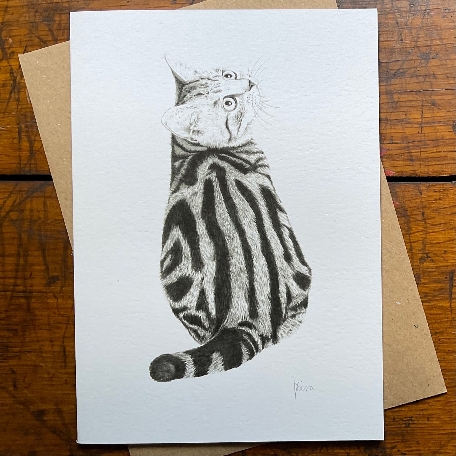 Image of STRIPE CAT~ GREETINGS CARD