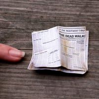 Image 3 of The Dead Walk Newspaper 