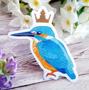 Royal Birds - Matte Vinyl Stickers
