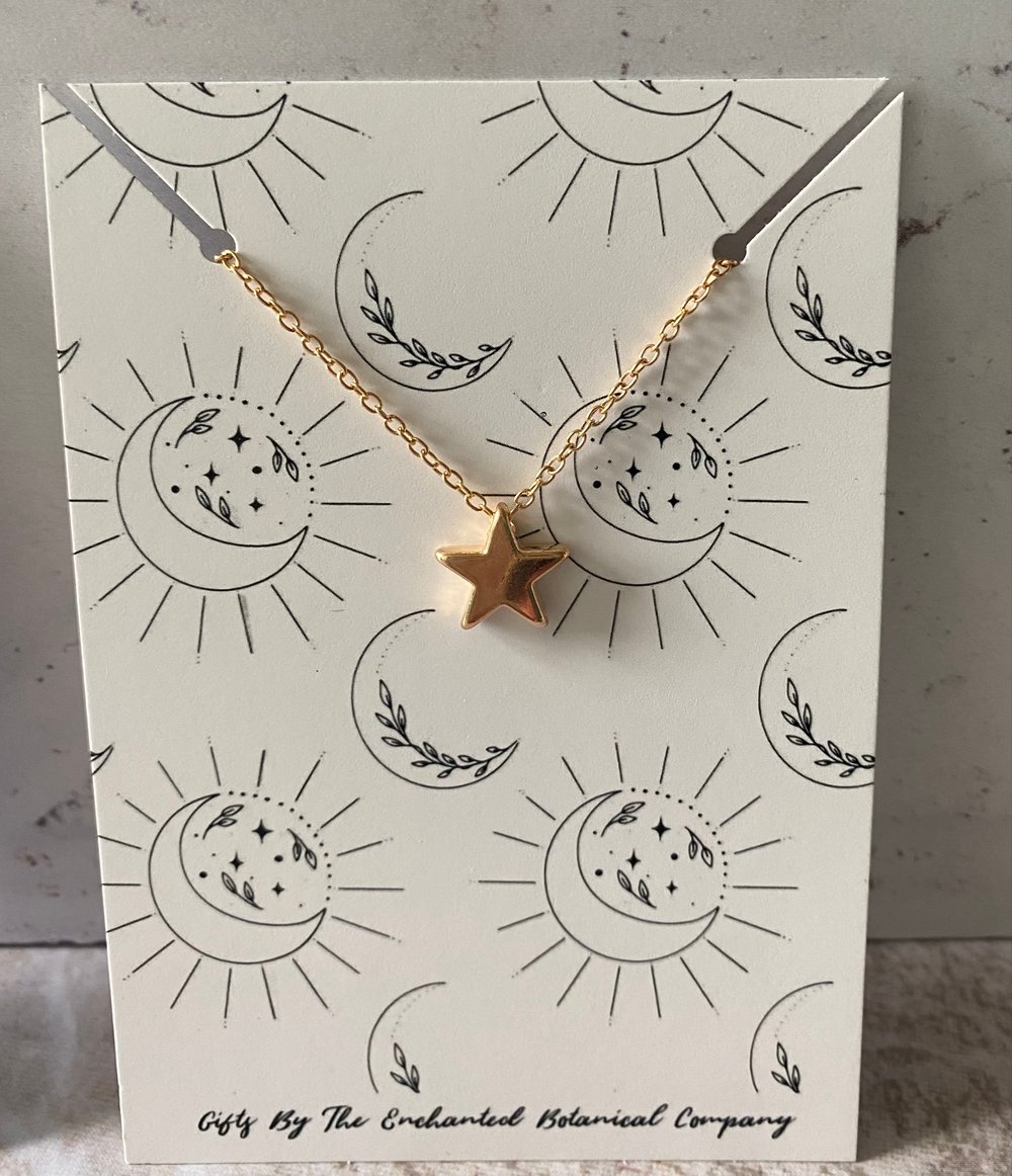 Star Pendant Gift Necklace 
