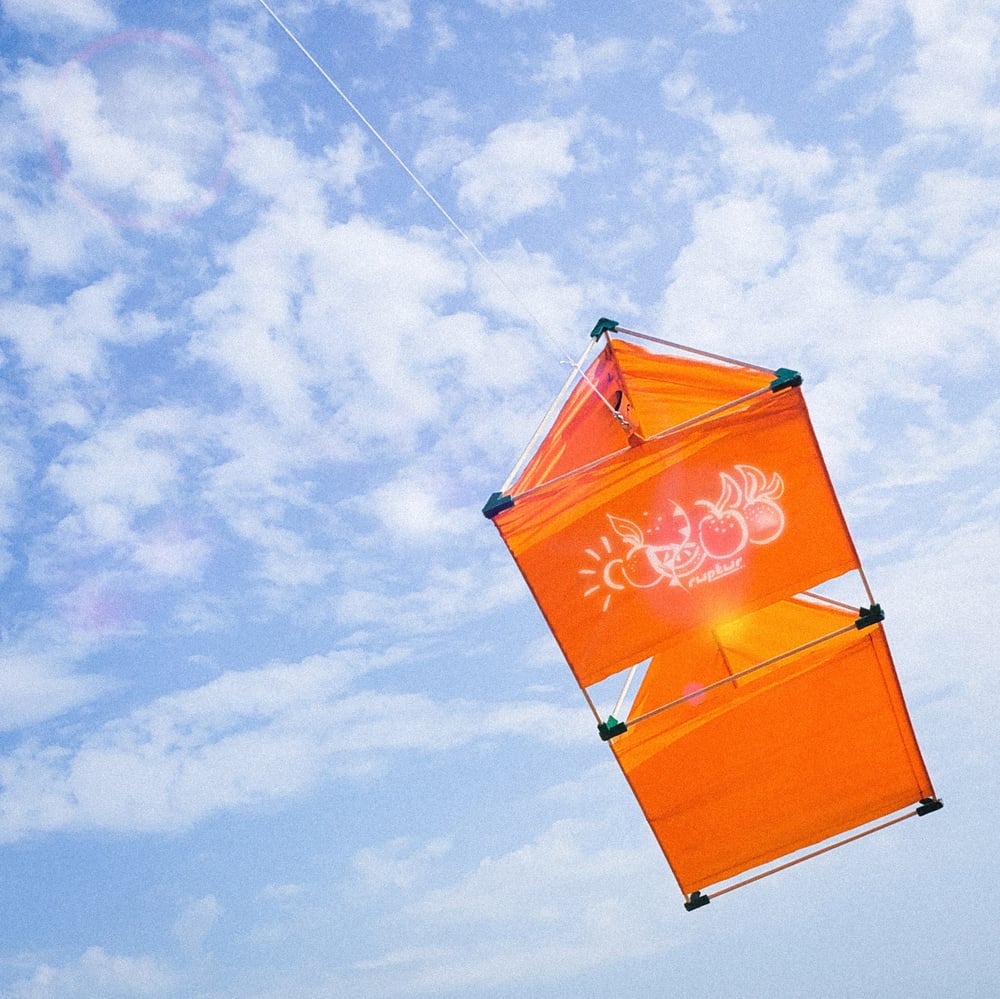Image of RPT-013: THE MOUNTAIN KITE_2