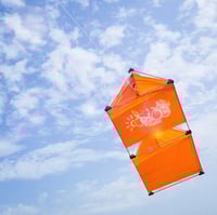 Image 1 of RPT-013: THE MOUNTAIN KITE_2