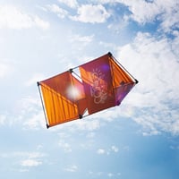 Image 2 of RPT-013: THE MOUNTAIN KITE_2