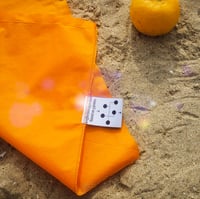 Image 3 of RPT-013: THE MOUNTAIN KITE_2