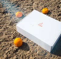 Image 5 of RPT-013: THE MOUNTAIN KITE_2