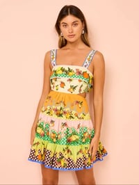 Image 1 of Salsa mini dress