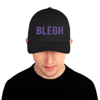 Image 3 of BLEGH DAD HAT - PURPLE EDITION