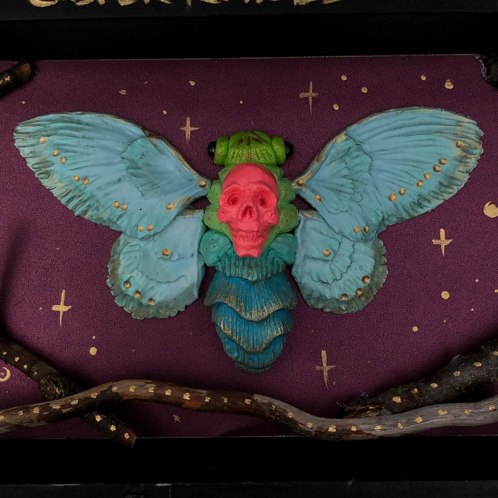 Image of ::Death Cicada::