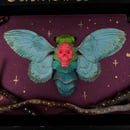 Image 1 of ::Death Cicada::