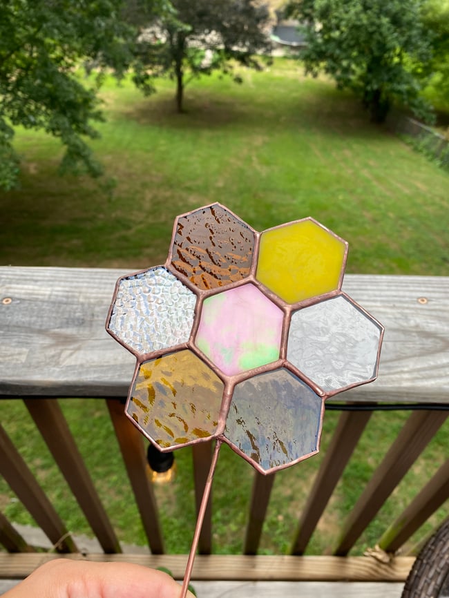 Honeycomb Flower Plant Buddi