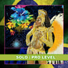 SOLO | PRO Level Entry Competition